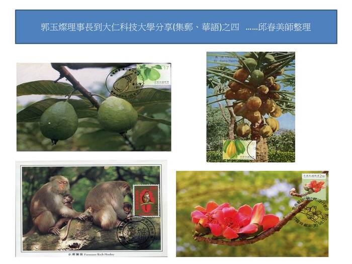 圖片說明